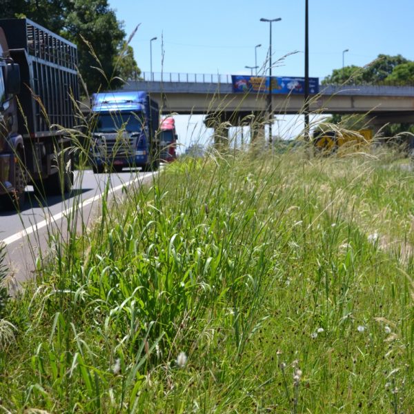 Dnit antecipa licitação para obras na BR