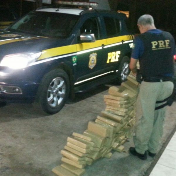 Polícia apreende 307 quilos de maconha