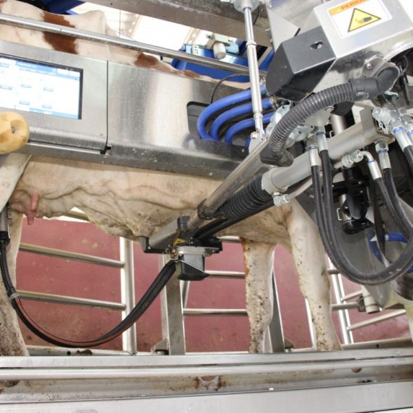 Cooperativa investe em  sistema automatizado