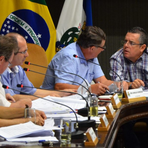 Vereadores derrubam veto sobre rotativo