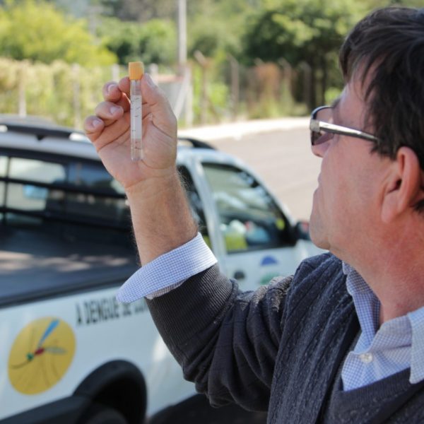 Agentes encontram larvas do aedes aegypti