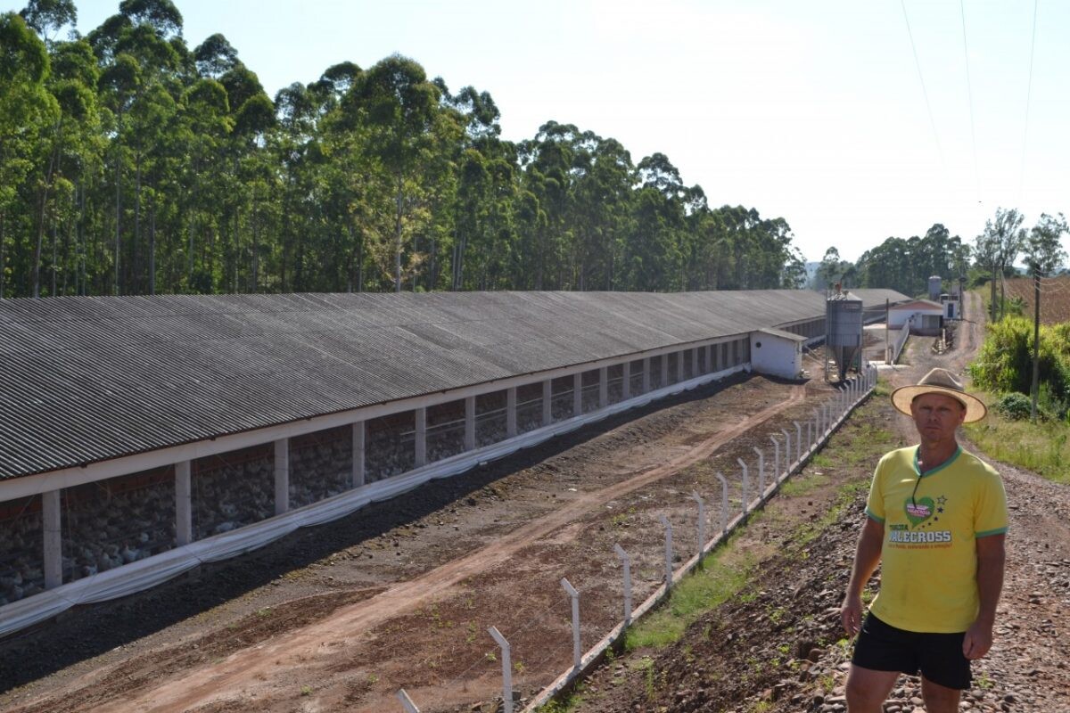 Granja investe R$ 2 milhões na produção de ovos férteis