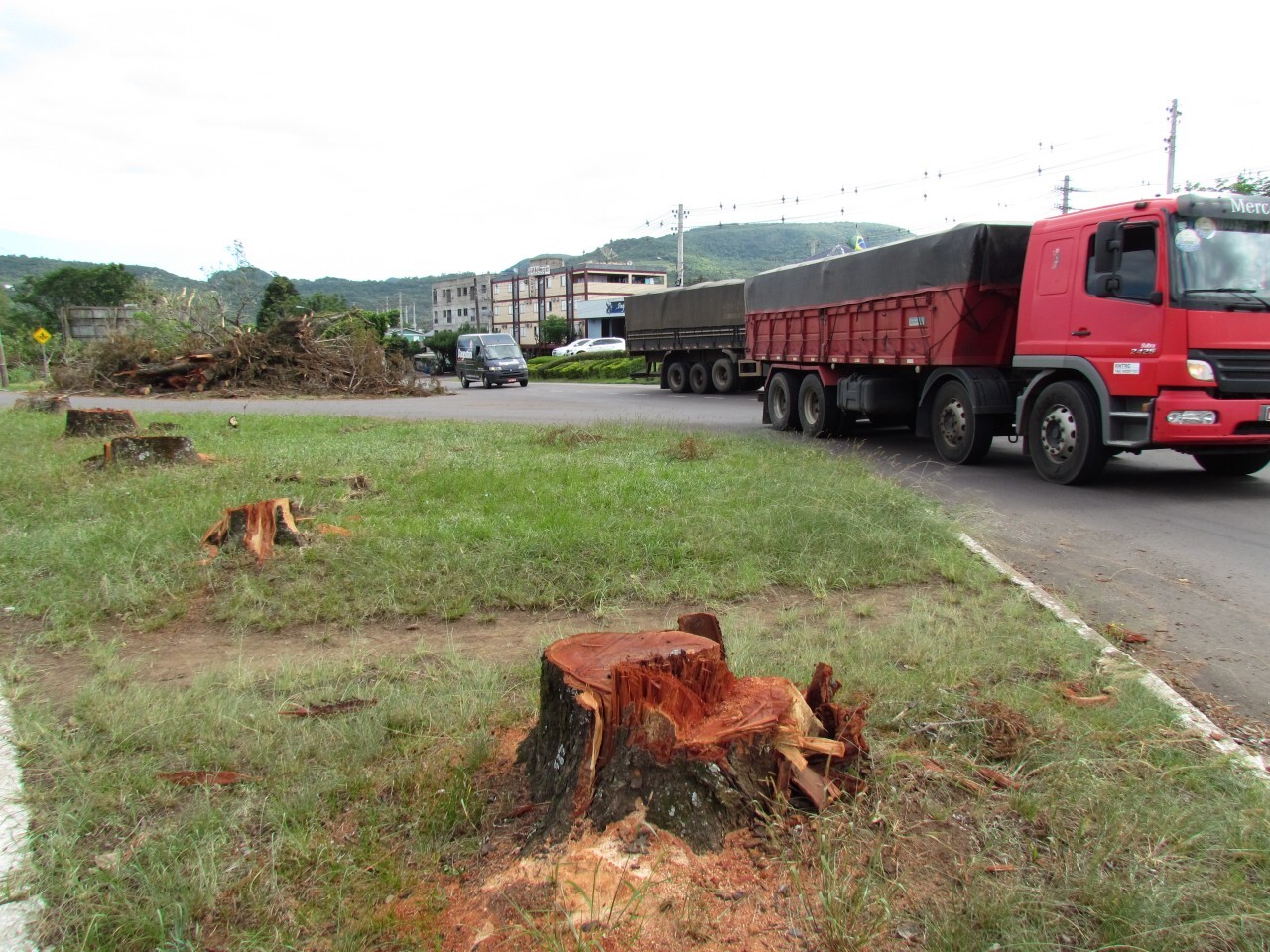 Retirada de árvores  dá início a mudanças