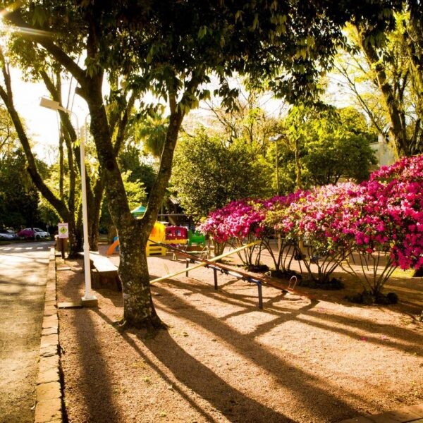 Clube investe em sustentabilidade