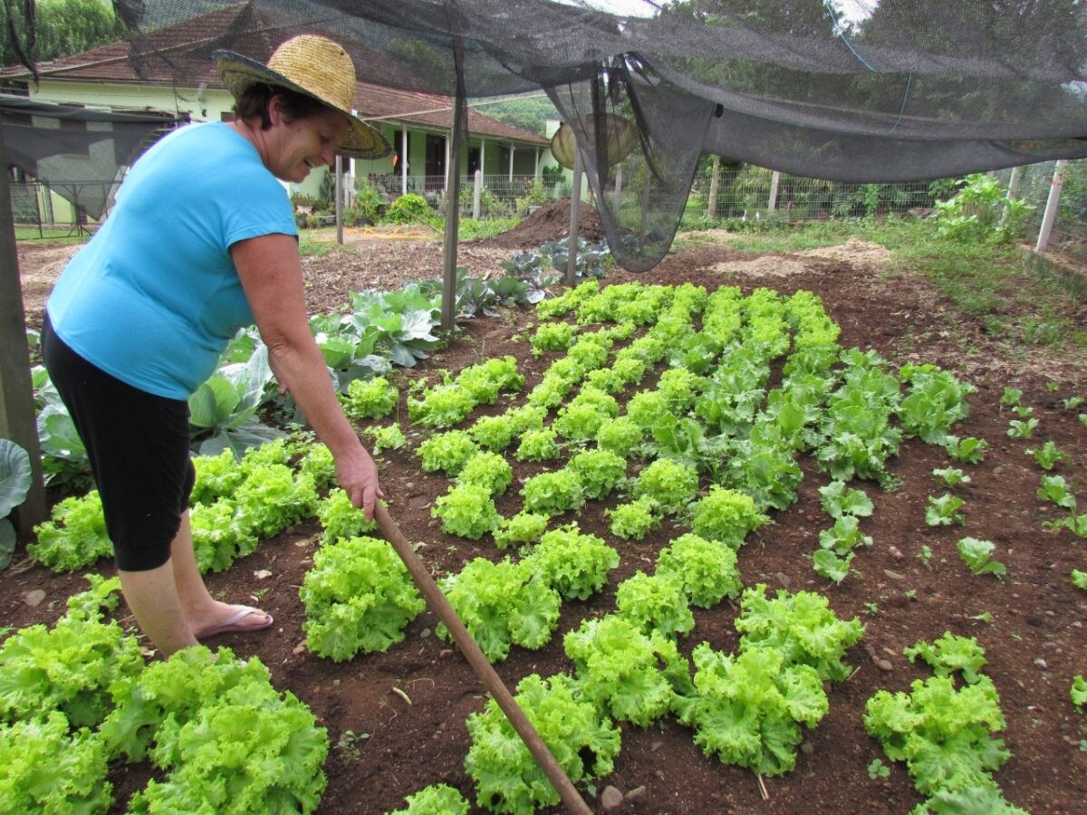 Município constrói feira para produtores