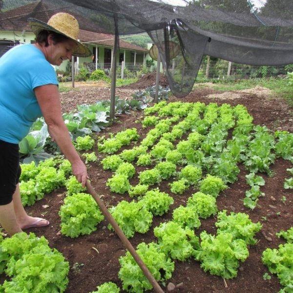 Município constrói feira para produtores