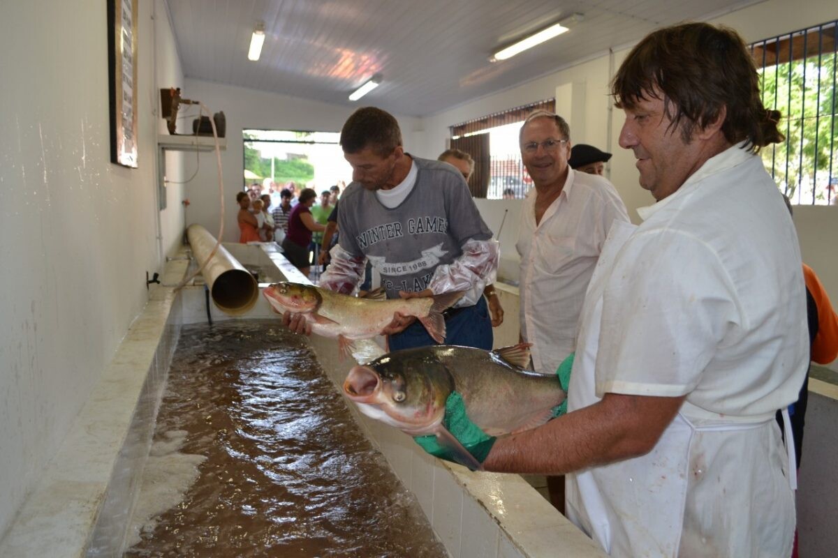 Vendas em feiras surpreendem piscicultores