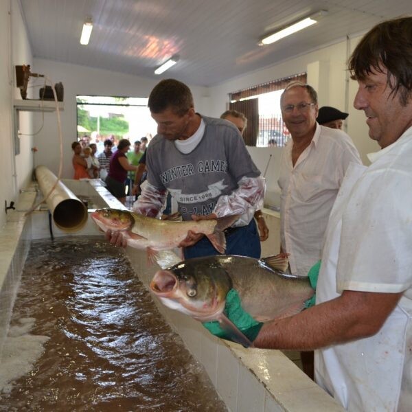 Vendas em feiras surpreendem piscicultores