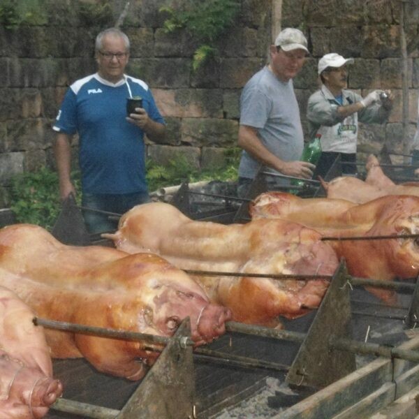 Lions Clube organiza suíno no rolete