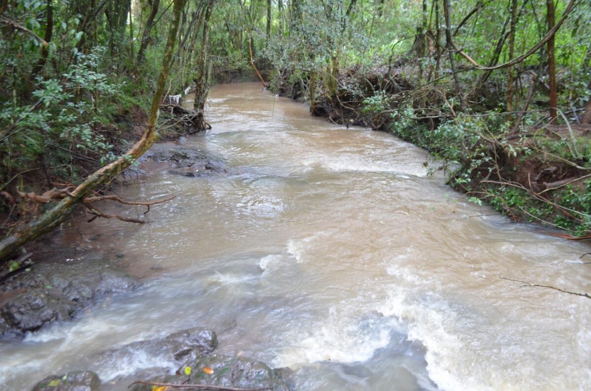 Assinatura oficializa recuperação do Saraquá