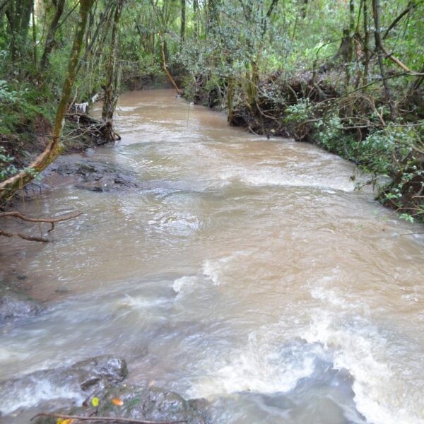 Assinatura oficializa recuperação do Saraquá
