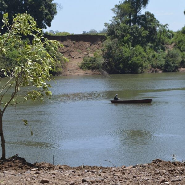 MP promete retomar Corredor Ecológico