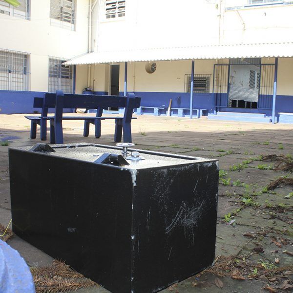Ladrões arrombam escola em Encantado