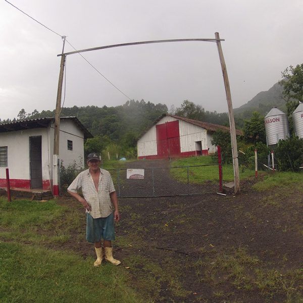 Cadeia produtiva reforça defesa sanitária