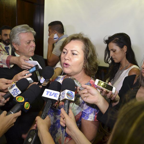 Silvana Covatti comemora economia