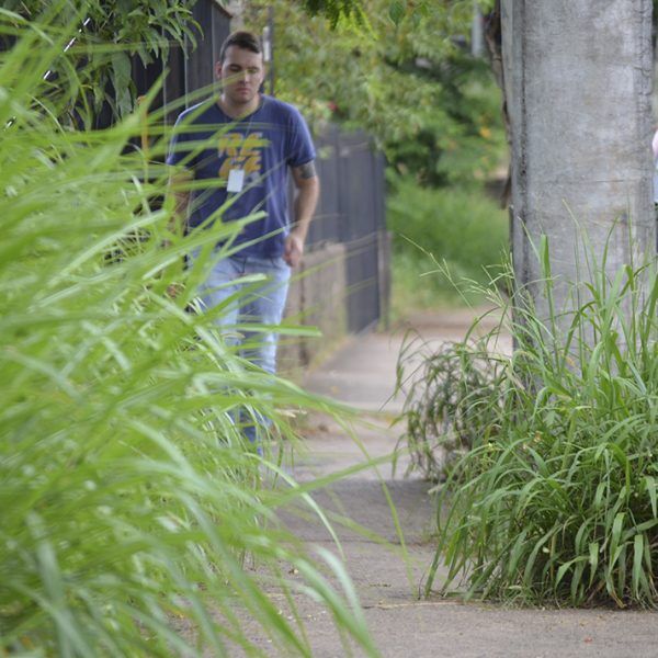 Capim avança sobre calçadas e ruas de Lajeado