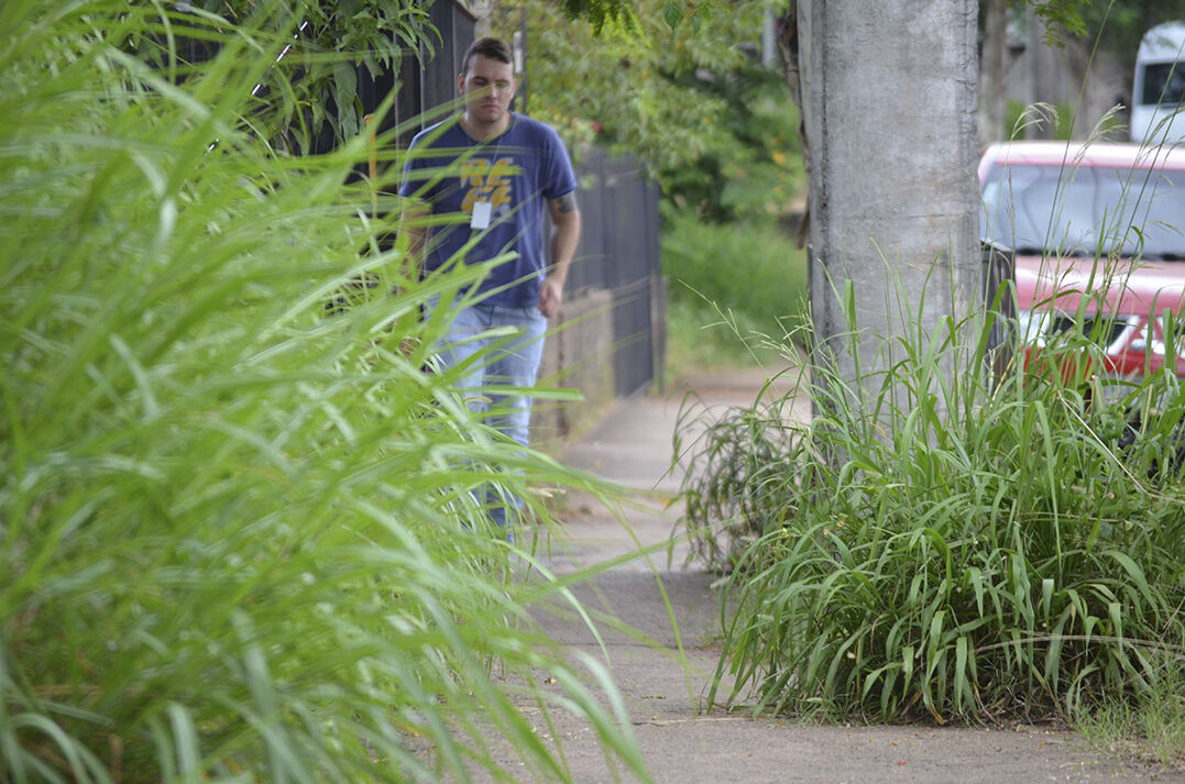 Capim avança sobre calçadas e ruas de Lajeado