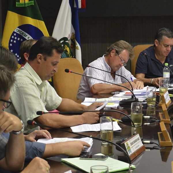 Escolas infantis terão de publicar lista de espera