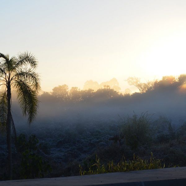 Quinta-feira amanhece gelada, mas ao longo do dia a temperatura chega aos 20°C
