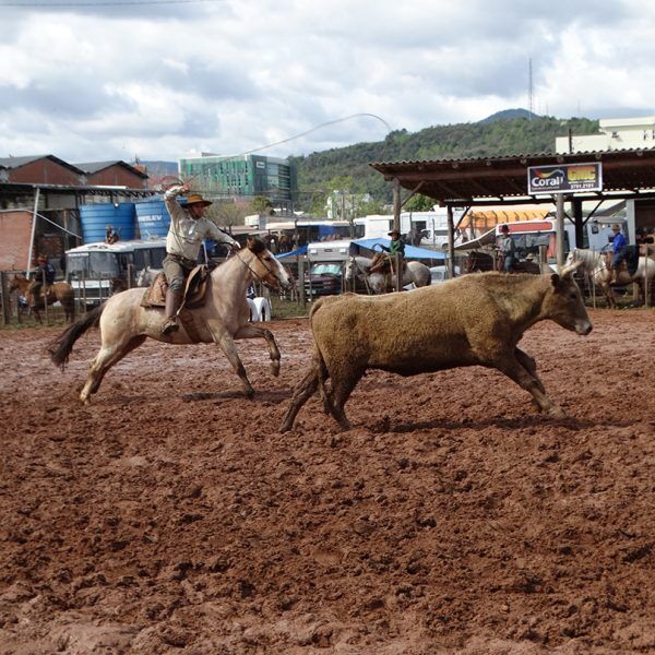 Rodeio recebe gaúchos de todo RS