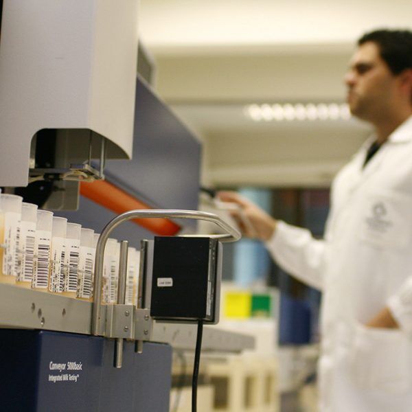 Laboratório do Leite recebe prêmio