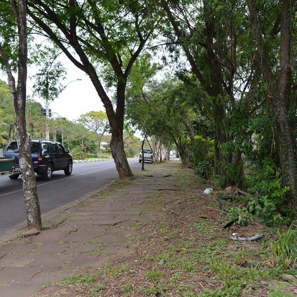 Falta de limpeza gera 200 notificações em Lajeado