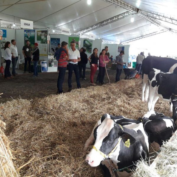ExpoCooperagri supera R$ 1 milhão em vendas