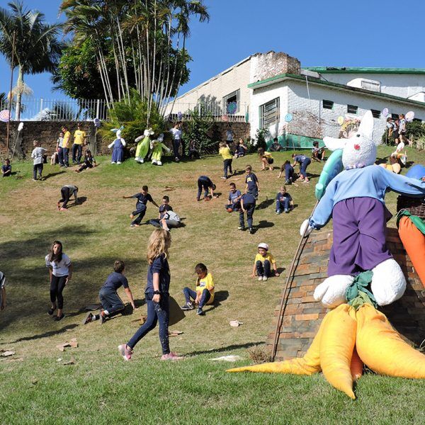 Coelhos despertam o imaginário infantil