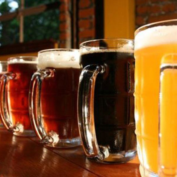 Curso de Cerveja Artesanal