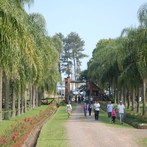Jardim Botânico recebe Concerto da Primavera
