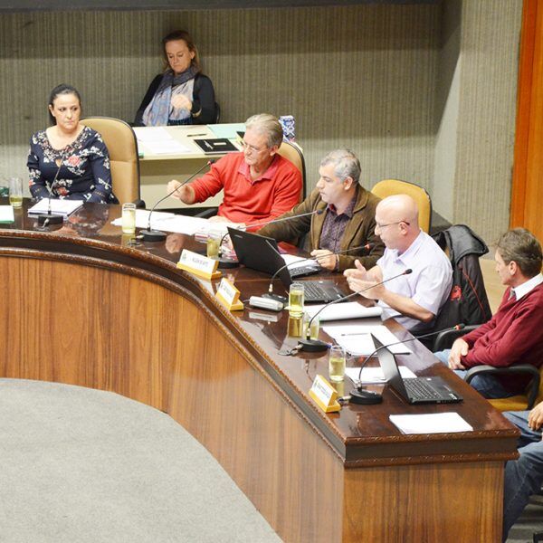Duas propostas populares são analisadas no orçamento de 2019