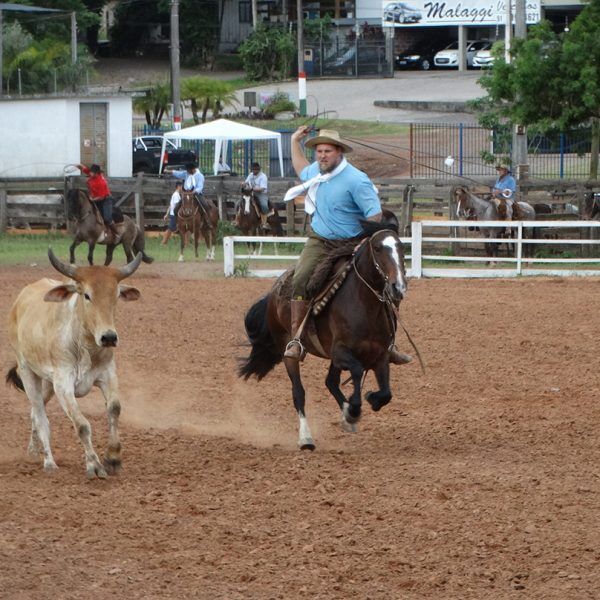 Campo e arte se misturam no 31º Rodeio Crioulo