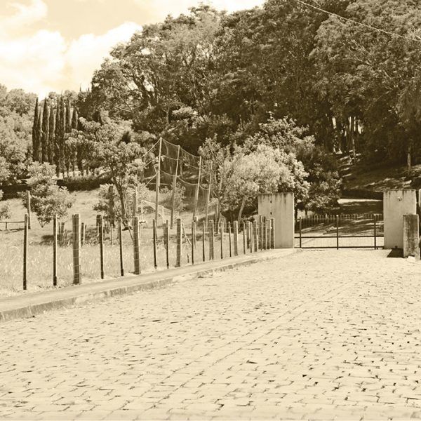 Sumiço intriga a comunidade