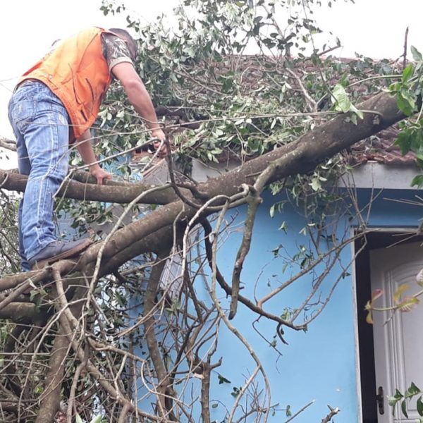 Temporal danifica pelo menos 140 casas em Estrela