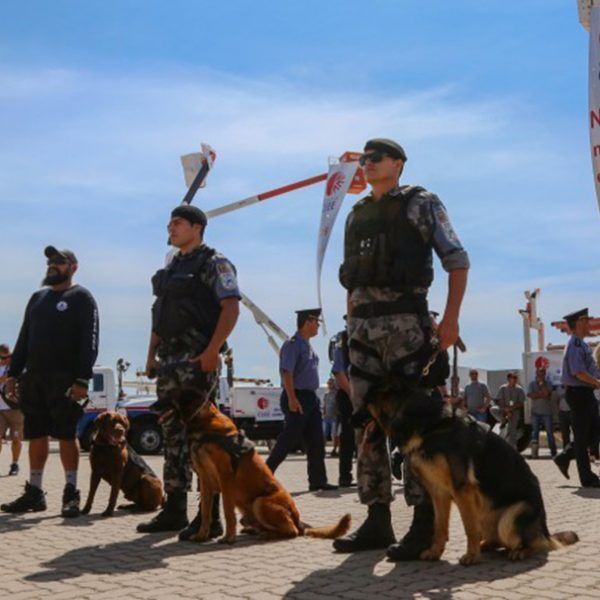 Região tem 7% do efetivo da BM deslocados para a Operação Verão