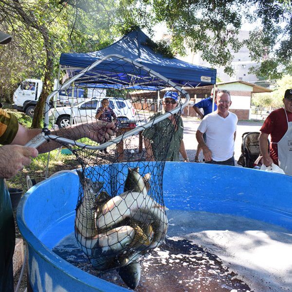 Feira do Peixe Vivo ocorrerá nesta sexta-feira