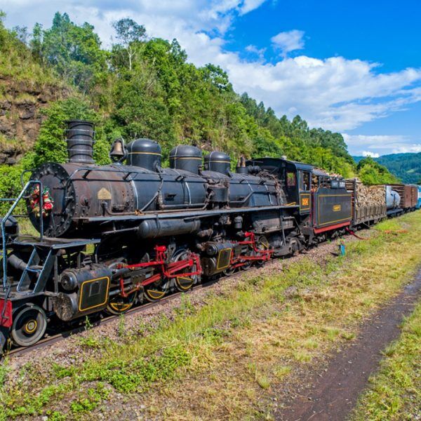 Ingressos para o passeio de trem esgotam em dois dias