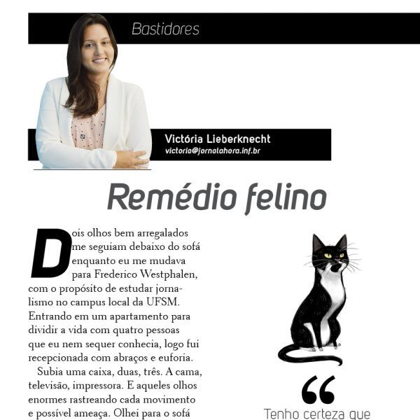Remédio felino