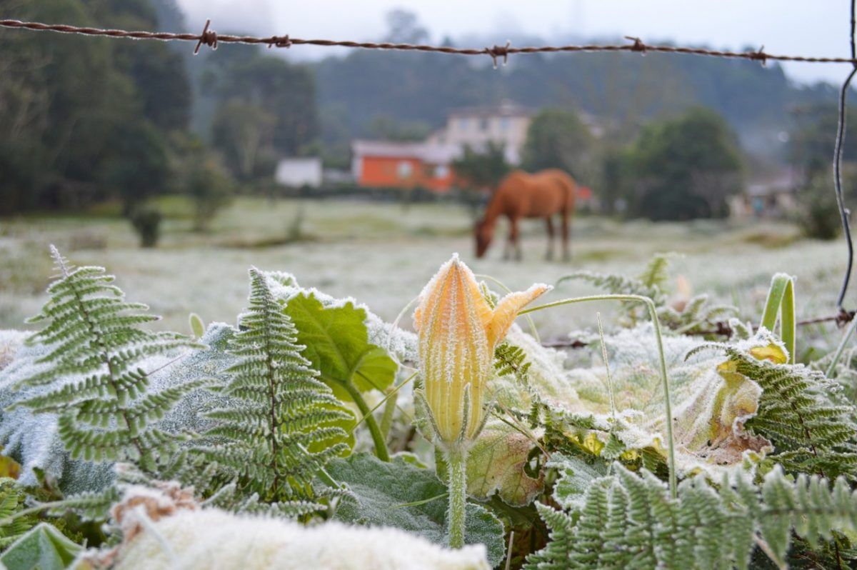 Temperatura deve cair quase 15°C até domingo