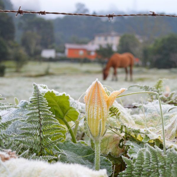 Temperatura deve cair quase 15°C até domingo