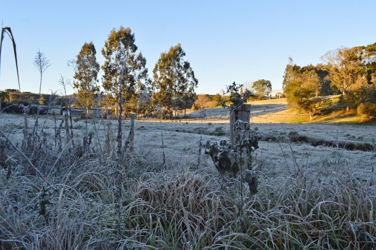Após dias frios com geada, temperaturas voltam a subir