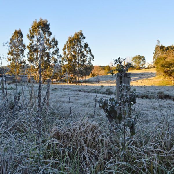 Após dias frios com geada, temperaturas voltam a subir