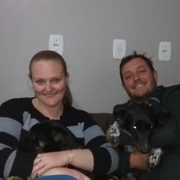 Moradores se mobilizam para ajudar cães abandonados