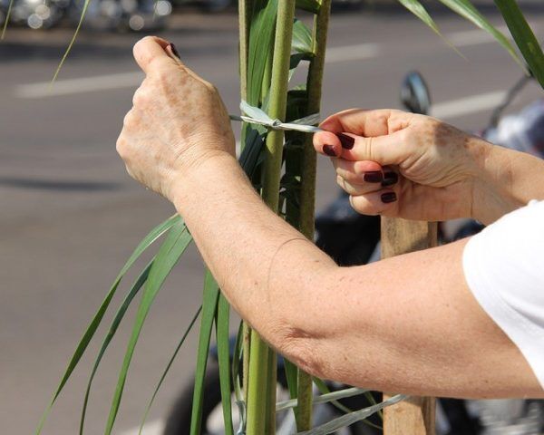 Desafio Voluntário mobiliza comunidade