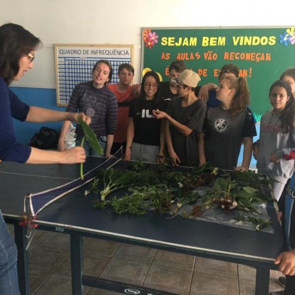 Alunos de Encantado falam  sobre PANCs na Expointer