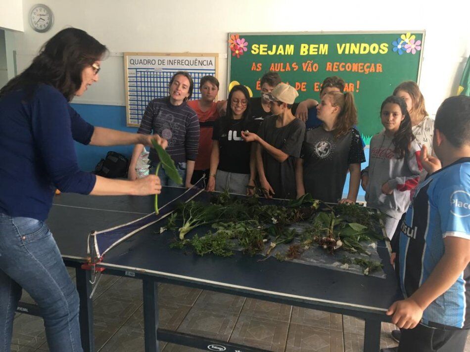 Alunos de Encantado falam sobre PANCs na Expointer