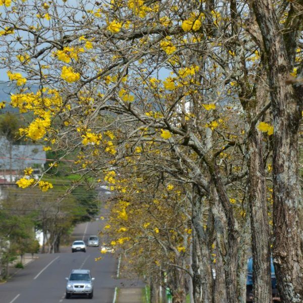 Tempo segue firme nos primeiros dias da Primavera
