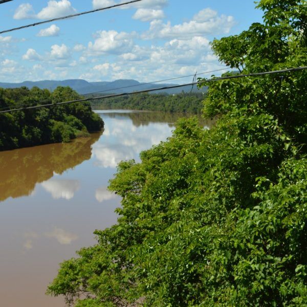 Eventos sobre matas ciliares recebem inscrições
