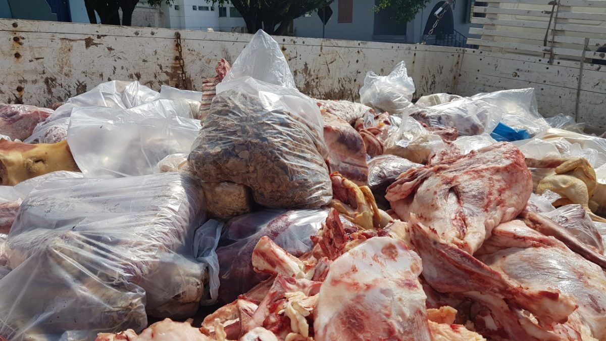Carne sem procedência: cerca de 500 quilos são apreendidos