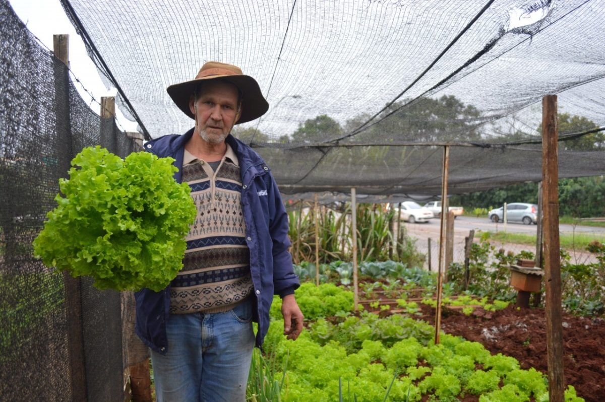 Exemplo a ser seguido: “Vamos tomar chimarrão na sombra das árvores que plantei”